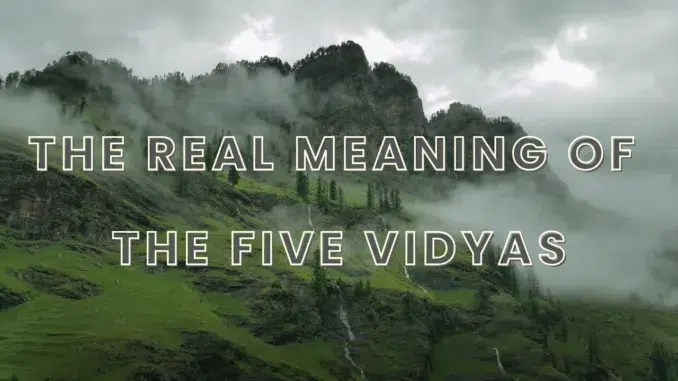 The Real Meaning of the Five&nbsp;Vidyas